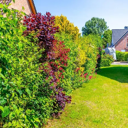 Unterm Dachläufer Eg Apartment Boltenhagen